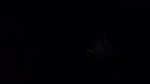 Babu online show from October 12, 3:27 am