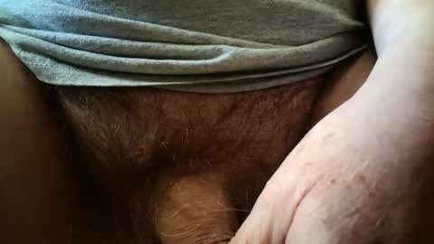 Always crusing cams online show from March 17, 6:44 pm