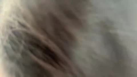 Ammy here its my first stream here online show from February 27, 2:22 am