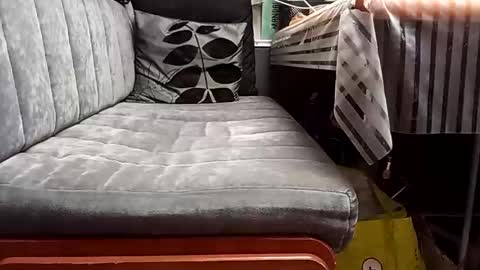 FireLion online show from April 13, 9:37 am