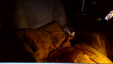 PINK HOLE TWINK online show from March 6, 4:53 am