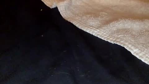 Snapshot of rimalovar chatting on December 20, 1:45 am rimalova online show from December 20, 1:45 am