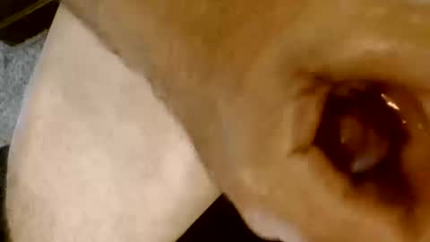 risingphoenix23 online show from October 13, 9:26 pm