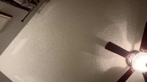 Snapshot of rluxe2676 chatting on January 21, 11:35 am BwC4Breed online show from January 21, 11:35 am