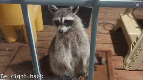 Ryan aka KeylimeRy online show from February 28, 11:36 am