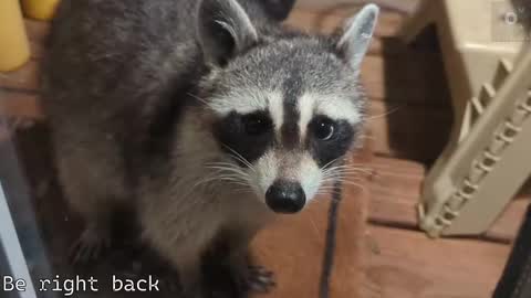 Ryan aka KeylimeRy online show from September 21, 11:56 am