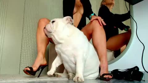 Sasha online show from April 14, 7:14 am