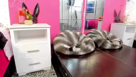 Vannellope online show from April 8, 12:27 pm