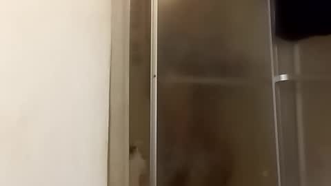 Snapshot of robertsaiz4200 chatting on November 24, 11:15 pm robertsaiz4200 online show from November 24, 11:15 pm