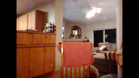 Snapshot of robo0000 chatting on November 20, 1:06 am robo0000 online show from November 20, 1:06 am