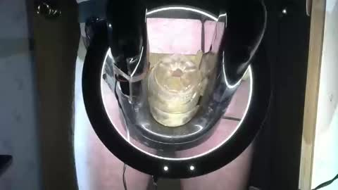 Robodickmilker online show from September 16, 7:04 pm