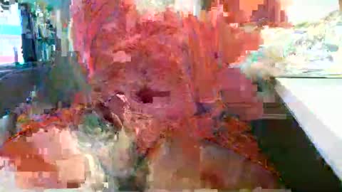 Rocco  aka DaddyRoc online show from February 18, 12:12 pm