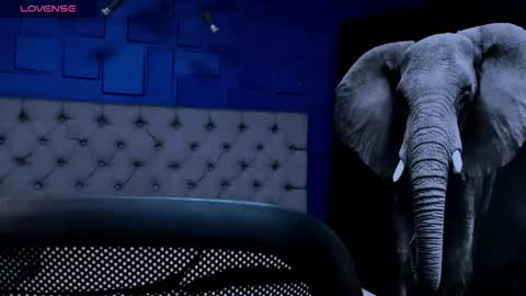 Snapshot of rocco_santos chatting on September 14, 2:00 am rocco_santos online show from September 14, 2:00 am