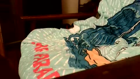 Snapshot of rogerrush chatting on November 15, 10:56 am rogerrush online show from November 15, 10:56 am