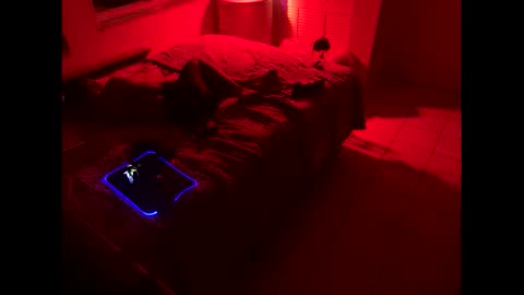 romeotyn online show from February 21, 3:01 am