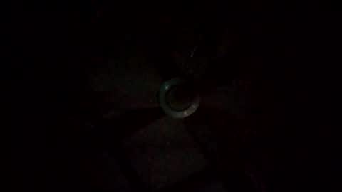 rompeculos121 online show from March 9, 11:47 am