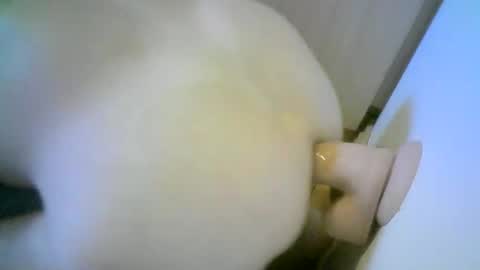 romson998181 online show from November 1, 8:27 am