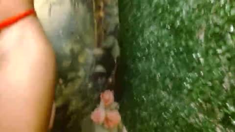 rosa online show from April 18, 2:59 am