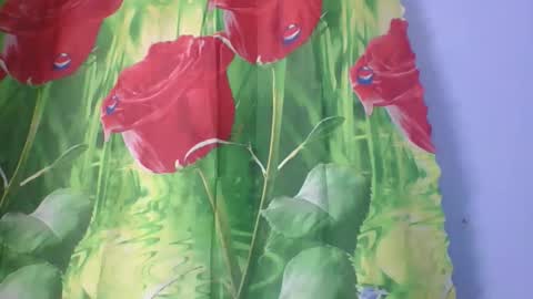 rosah225127 online show from April 14, 2:28 am