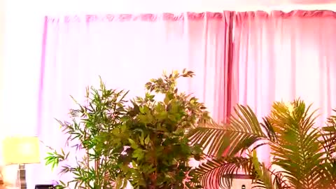 Rosa online show from July 27, 8:21 am
