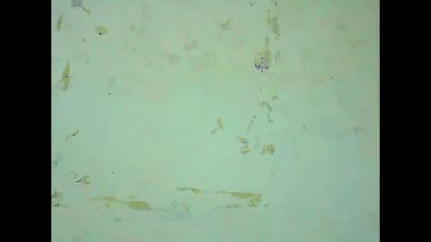 rosie6601 online show from March 21, 8:19 am