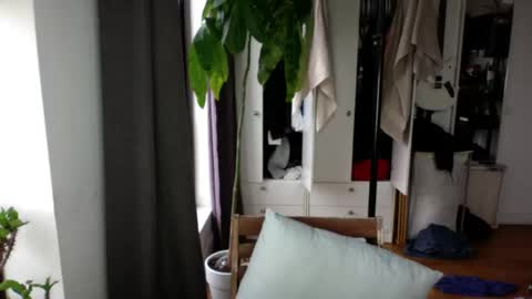 RossCollab online show from November 19, 12:38 pm