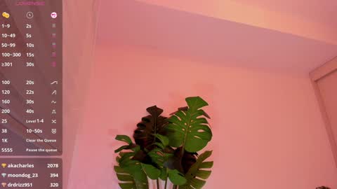 DREAM online show from January 4, 2:46 am