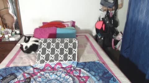 Snapshot of rousse_ellise1 chatting on December 29, 2:49 am rousse online show from December 29, 2:49 am