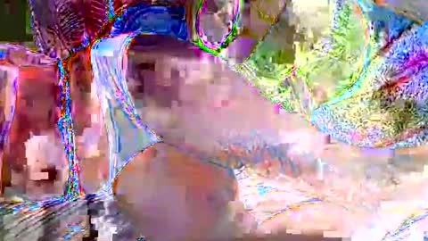 royalmuse online show from January 19, 11:25 am