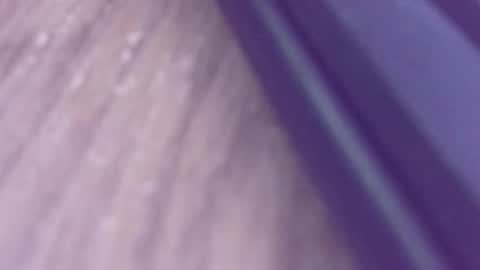 rudiandhisdick online show from March 26, 1:17 pm