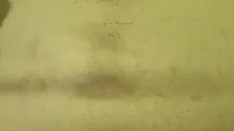 Rupali online show from February 5, 1:32 am