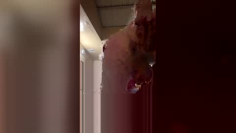 ryder868 online show from April 17, 7:33 am