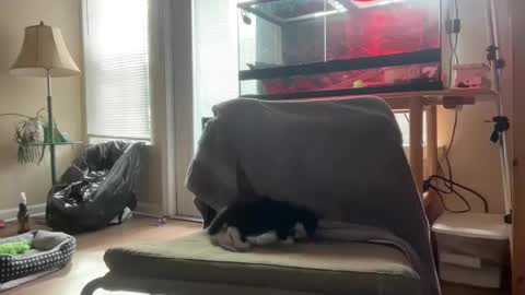 sabrosocockcarnesandwich online show from October 5, 2:59 pm