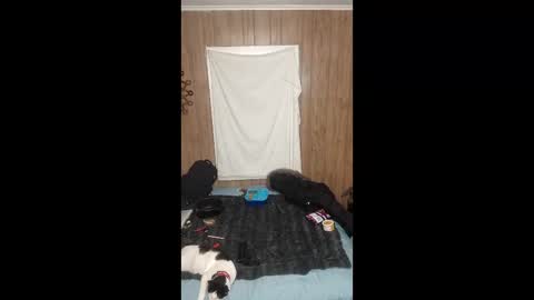 PupTwink online show from February 3, 6:22 am