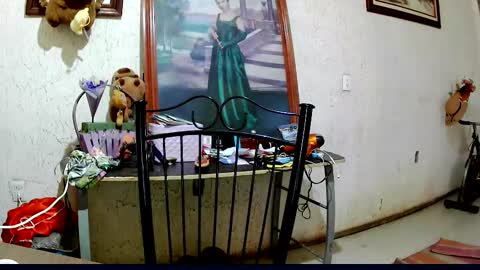 Snapshot of sailor_ruby7 chatting on October 2, 9:11 pm ruby chocoholic cakeholic coffeeholic cookieholic online show from October 2, 9:11 pm