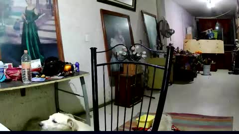 Snapshot of sailor_ruby7 chatting on November 18, 12:16 am ruby chocoholic cakeholic coffeeholic cookieholic online show from November 18, 12:16 am