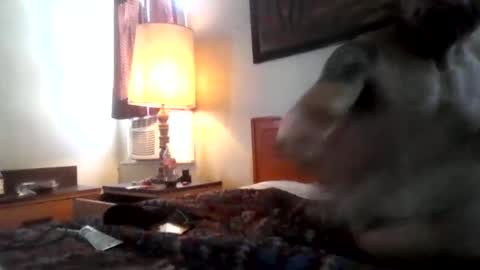 saintcali310 online show from April 18, 7:07 pm