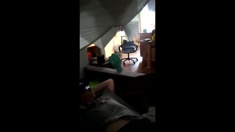 salis1981 online show from March 21, 11:30 pm