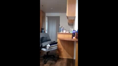 salis1981 online show from April 16, 6:09 pm