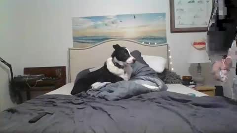 Snapshot of salsbud2022 chatting on February 28, 2:53 am salsbud2022 online show from February 28, 2:53 am