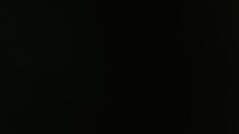 SAM AND BRENDA online show from December 30, 12:20 pm