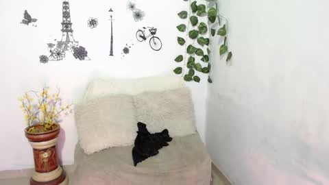 SAMIRA online show from January 8, 1:42 am