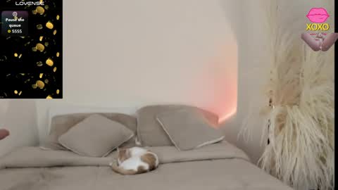 sammy_jhonson25 online show from March 29, 11:05 pm