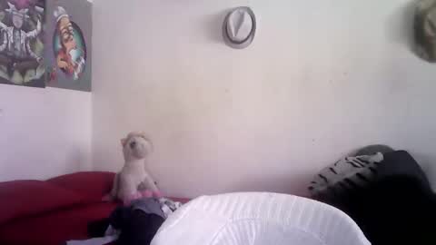 sammy_mcklain online show from March 1, 3:36 pm