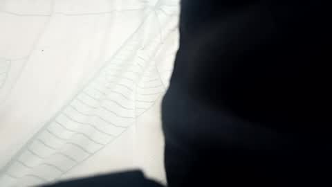 Snapshot of santhoshlees chatting on February 13, 11:06 am Harder online show from February 13, 11:06 am