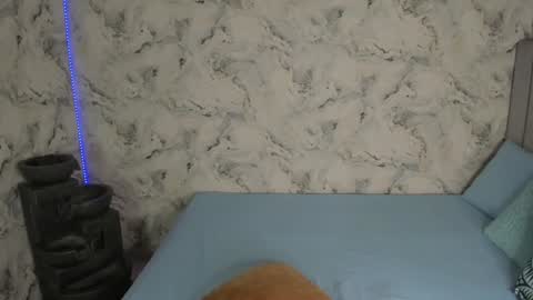 sara online show from January 6, 10:02 am