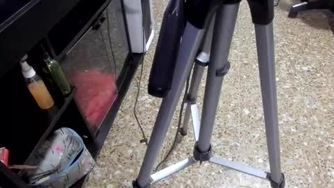 Snapshot of sara_salgado chatting on February 11, 11:04 am sara_salgado online show from February 11, 11:04 am