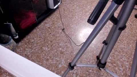 Snapshot of sara_salgado chatting on February 23, 11:07 am sara_salgado online show from February 23, 11:07 am