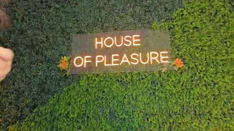 Sarah Bonneth online show from March 14, 11:59 am