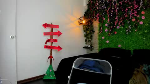 Sarah Deyvis online show from November 4, 1:54 pm